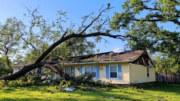 Buffalo Storm Restoration