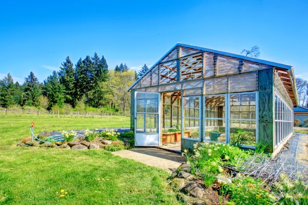 Buffalo Outdoor Structure Service
