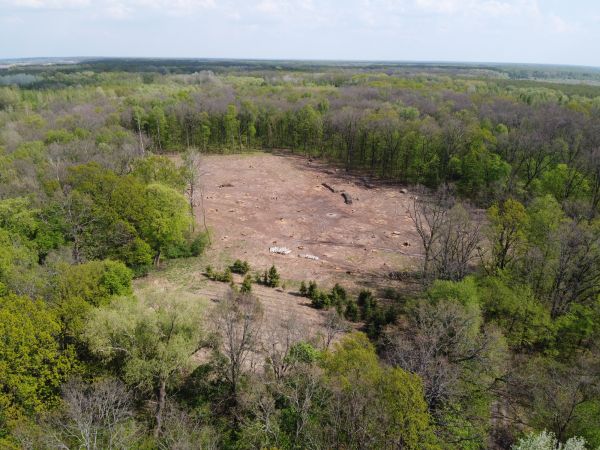 Buffalo Land Clearing