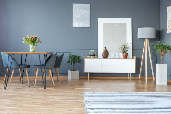 Buffalo Interior Painting